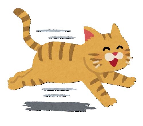走るねこ