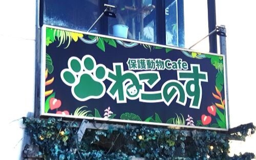 動物保護ねこのす
